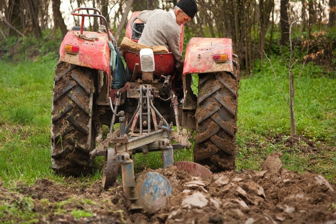 lump-sum-payment-to-farmers-suggested-by-the-eu-lsl-auctions-news