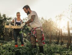 organic farming