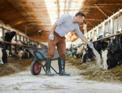 viable future for farmers and rural communityiable future for farmers and rural community