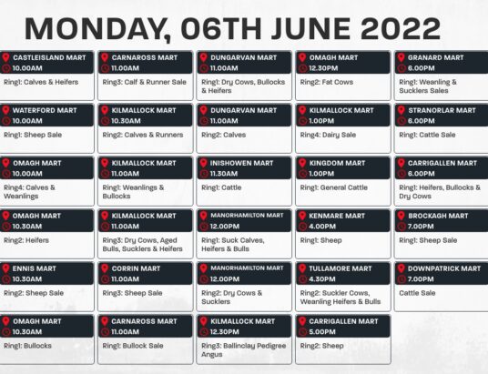 Online Auctions – Monday’s Calendar 06/06/2022