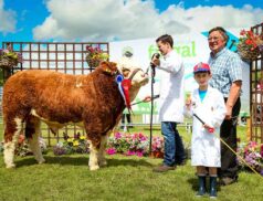 Flavours of Fingal County Show 2022
