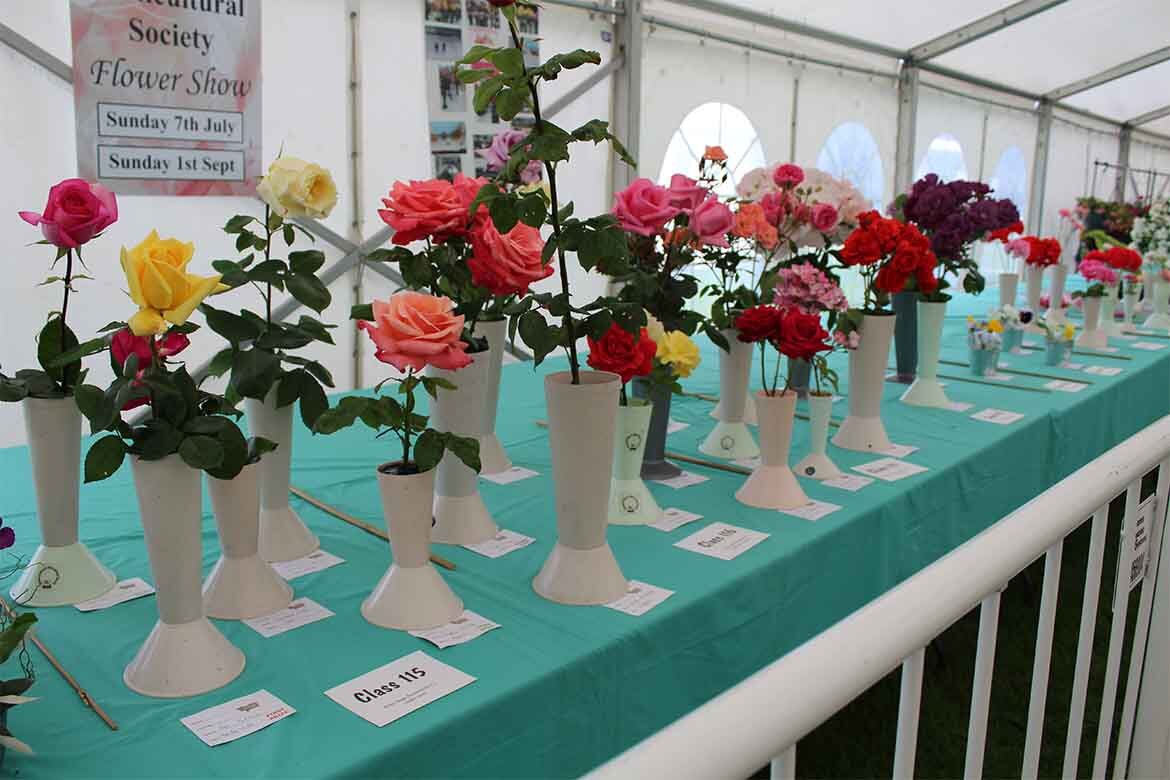 Flavours of Fingal Gardening & Horticultural competition