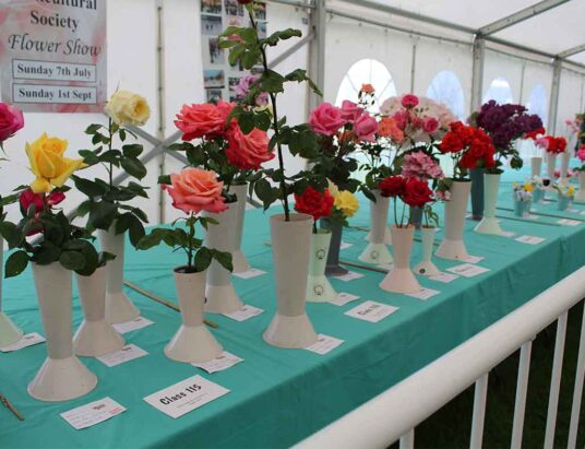 Flavours of Fingal Gardening & Horticultural competition