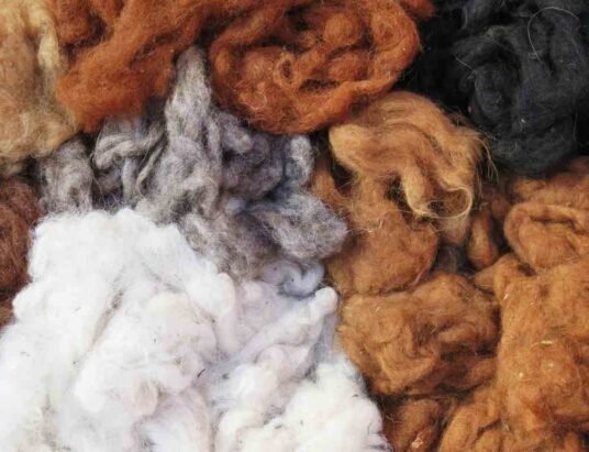 Wool Feasibility Study