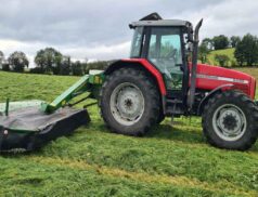 Cootehill Mart Sale