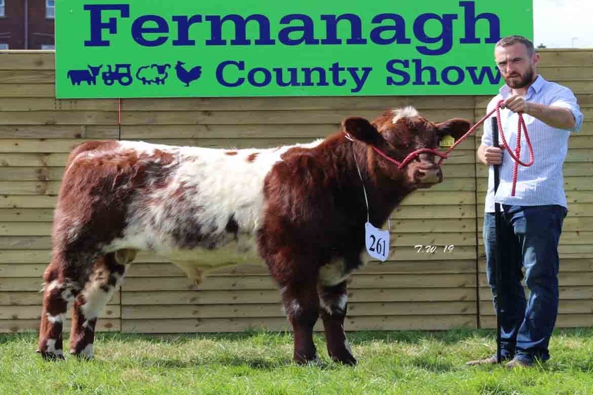 Fermanagh County Show