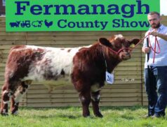 Fermanagh County Show