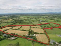 GVM Auctioneers Ballinvreena, Martinstown, Kilmallock 1708