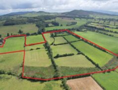 GVM Auctioneers Kilmallock Castleoliver, Ardpatrick 0109