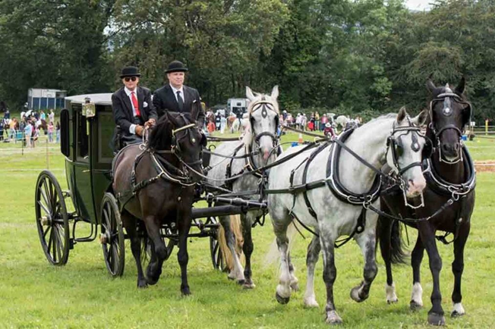 Kilmacanogue Horse Show welcomes competitors of all abilities - LSL ...