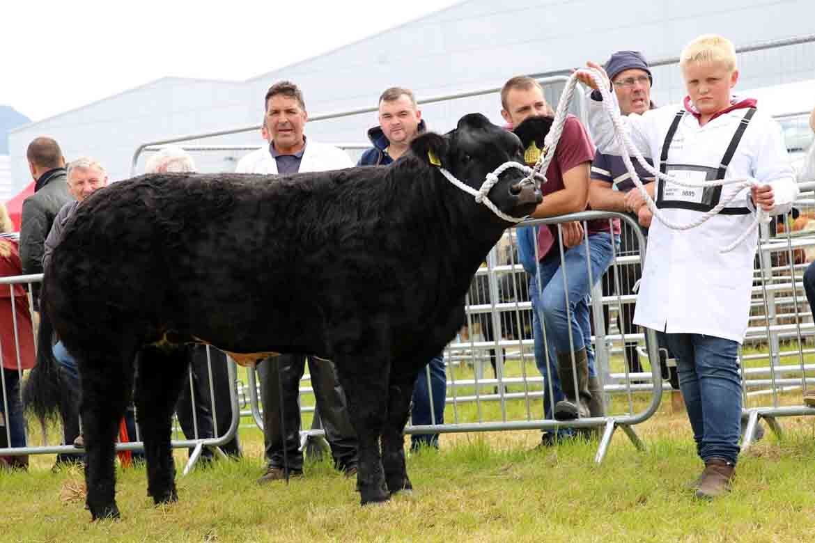 North Sligo Agricultural Show competitions