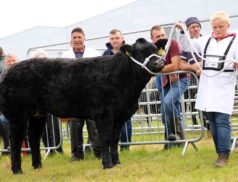 North Sligo Agricultural Show competitions