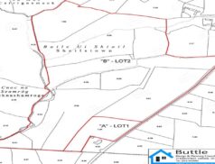 Quinn Property Shielstown Knockananna Co.Wicklow 2907