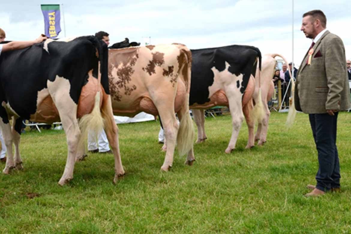 Tullamore Show FBD National Livestock Show 2022
