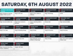 Online Auctions – Saturday’s Calendar 06/08/2022