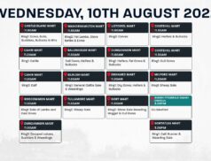 Online Auctions – Wednesday’s Calendar 10/08/2022