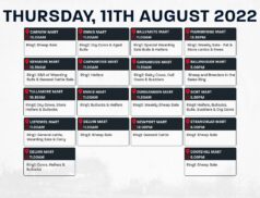 Online Auctions – Thursday’s Calendar 11/08/2022