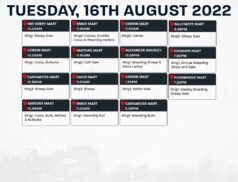 Online Auctions – Tuesday’s Calendar 16/08/2022