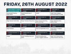Online Auctions – Friday’s Calendar 26/08/2022