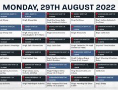 Online Auctions – Monday’s Calendar 29/08/2022