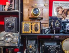 Collectables