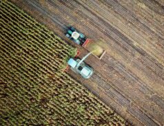International Conference on Agricultural and Food Science ICAFS