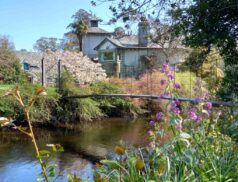 Mount Usher Gardens