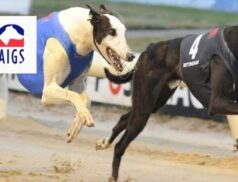 Nottingham Greyhound Stadium