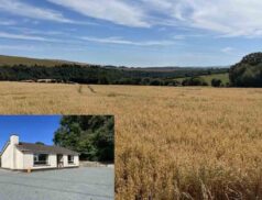 Quinn Property - Knockanree, Avoca, Co. Wicklow 23/09