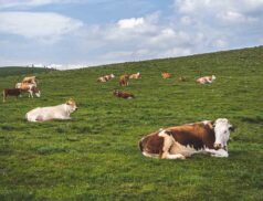 farming agri sector