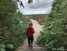peatland restoration