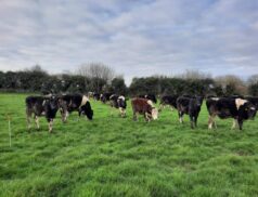 grassland farmer