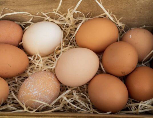 egg producers