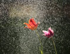 weather conditions