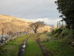 rural future