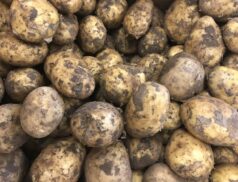 potatoes