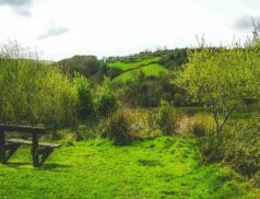 walking trails