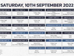 Online Auctions – Saturday’s Calendar 10/09/2022