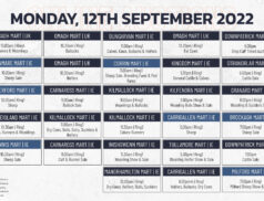 Online Auctions – Monday’s Calendar 12/09/2022