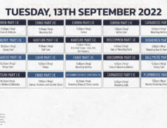 Online Auctions – Tuesday’s Calendar 13/09/2022