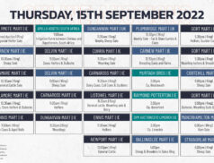 Online Auctions – Thursday’s Calendar 15/09/2022