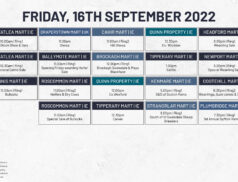 Online Auctions – Friday’s Calendar 16/09/2022