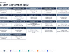 Online Auctions – Tuesday’s Calendar 20/09/2022