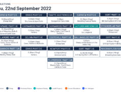 Online Auctions – Thursday’s Calendar 22/09/2022