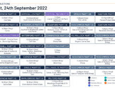 Online Auctions – Saturday’s Calendar 24/09/2022