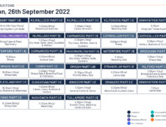 Online Auctions – Monday’s Calendar 26/09/2022