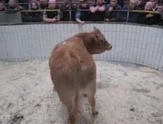LSL Sales 10 September 2022