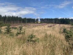 Quinn Property Knockraheen Roundwood Wicklow 1609
