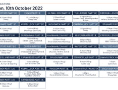 Online Auctions – Monday’s Calendar 10/10/2022