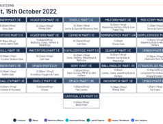 Online Auctions – Saturday’s Calendar 15/10/2022